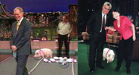 Jay Leno and David Letterman